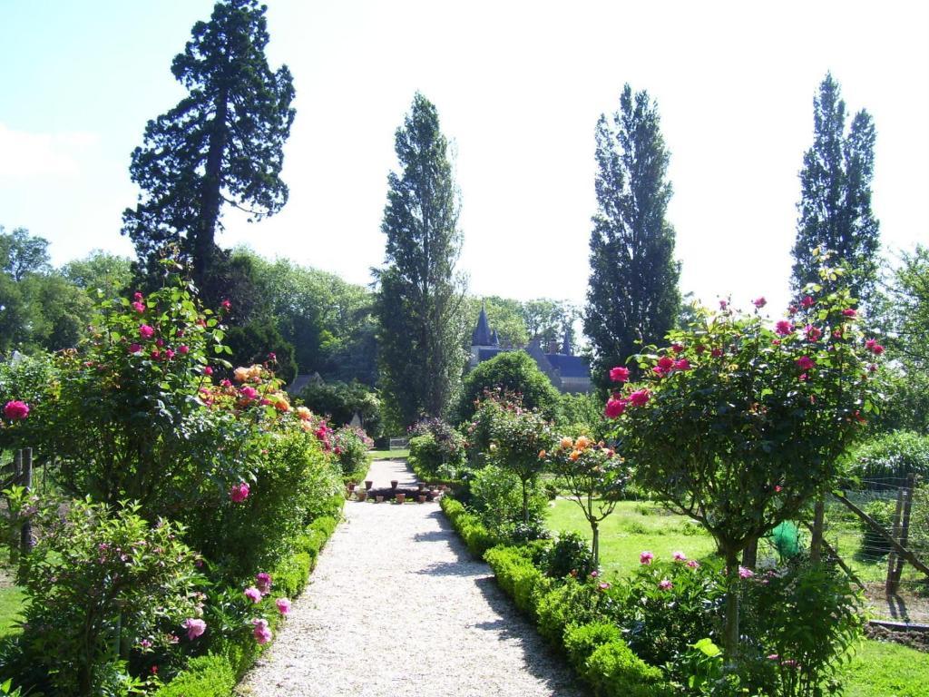 Chateau De Montriou Feneu Екстер'єр фото
